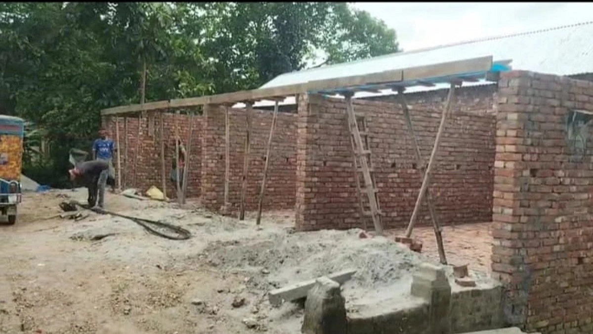 সরকারি গাছ কেটে বিক্রির অভিযোগ যুবদল নেতার বিরুদ্ধে