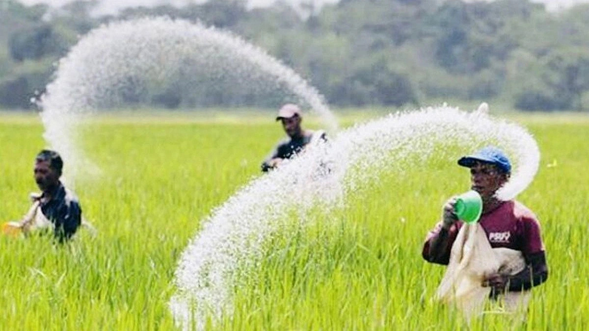 সংকট মেটাতে ‘সার কার্ড’