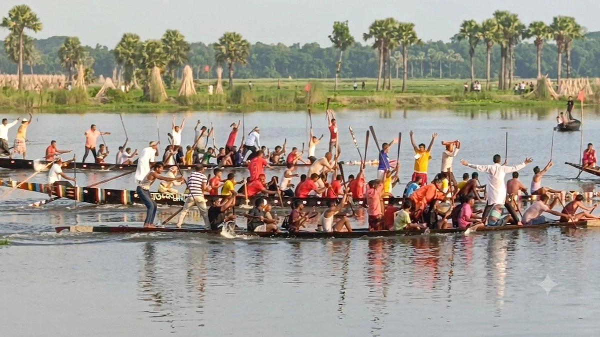 সালথায় ঐতিহ্যবাহী নৌকা বাইচ, মুখর আষাঢ়ের বিলের দুই পাড়