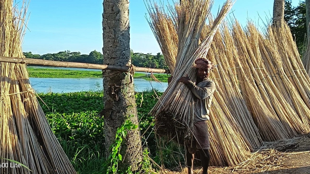 ফেলনা পাটকাঠি এখন আয়ের উৎস