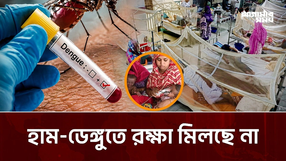 Video news 1