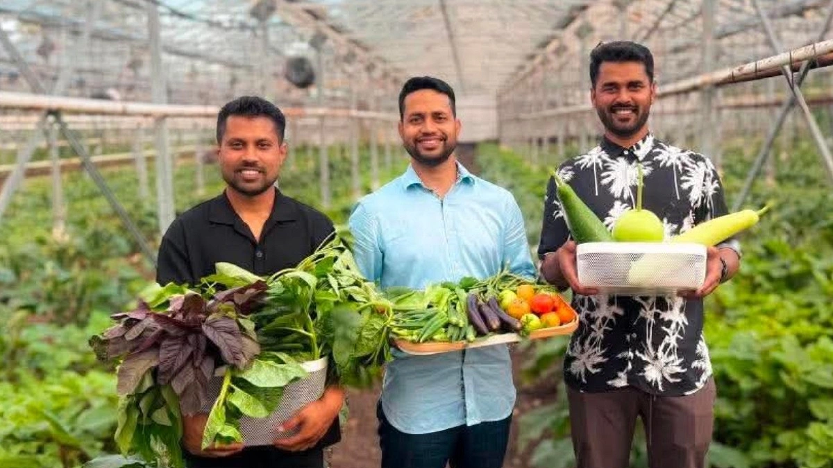 ব্রিটেনের মাটিতে বাংলাদেশি সবজির স্বপ্ন