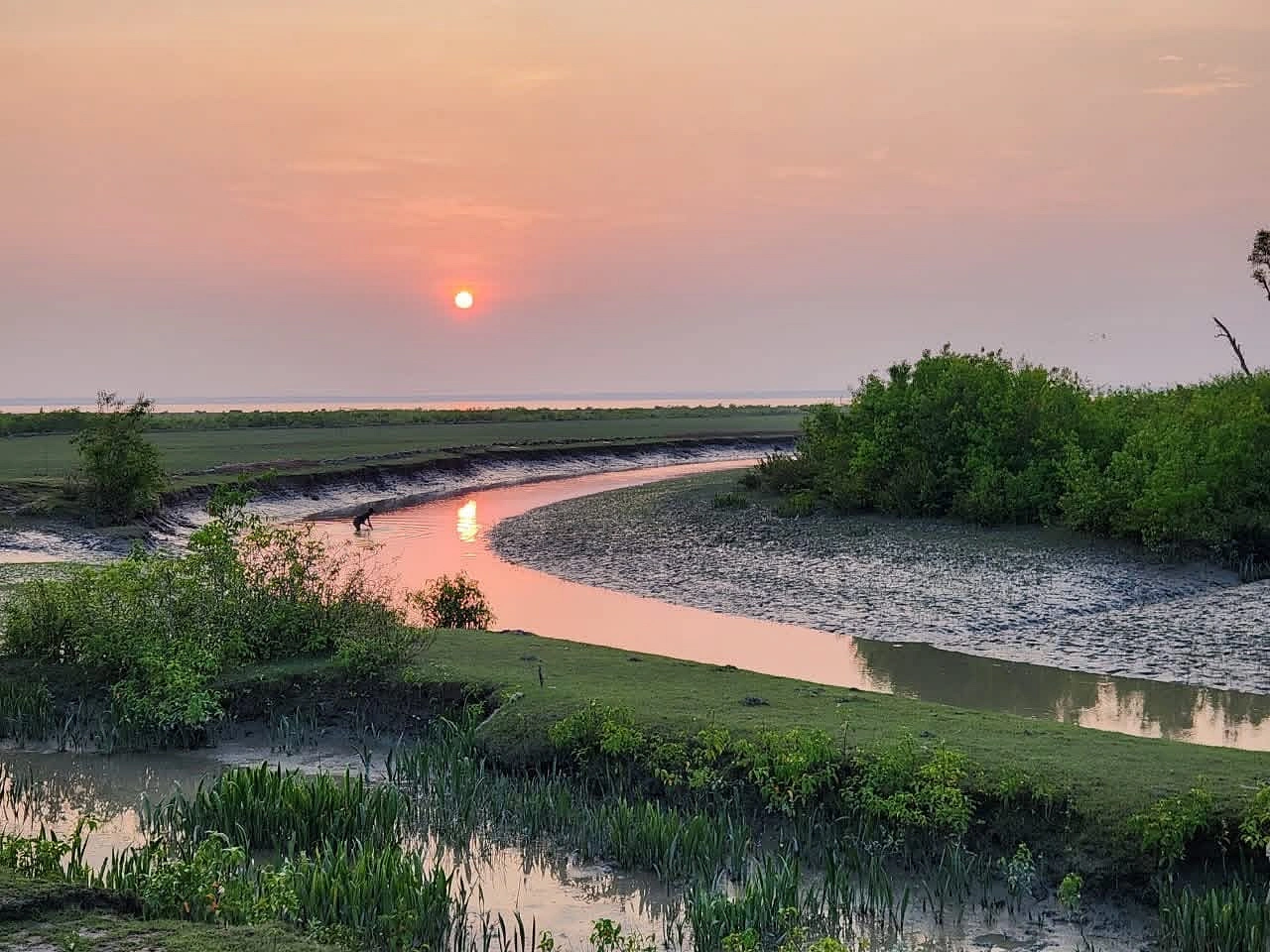 সন্ধ্যা নামছে চর কুকরিমুকরিতে। ছবি : নওশাদ নওয়াজ