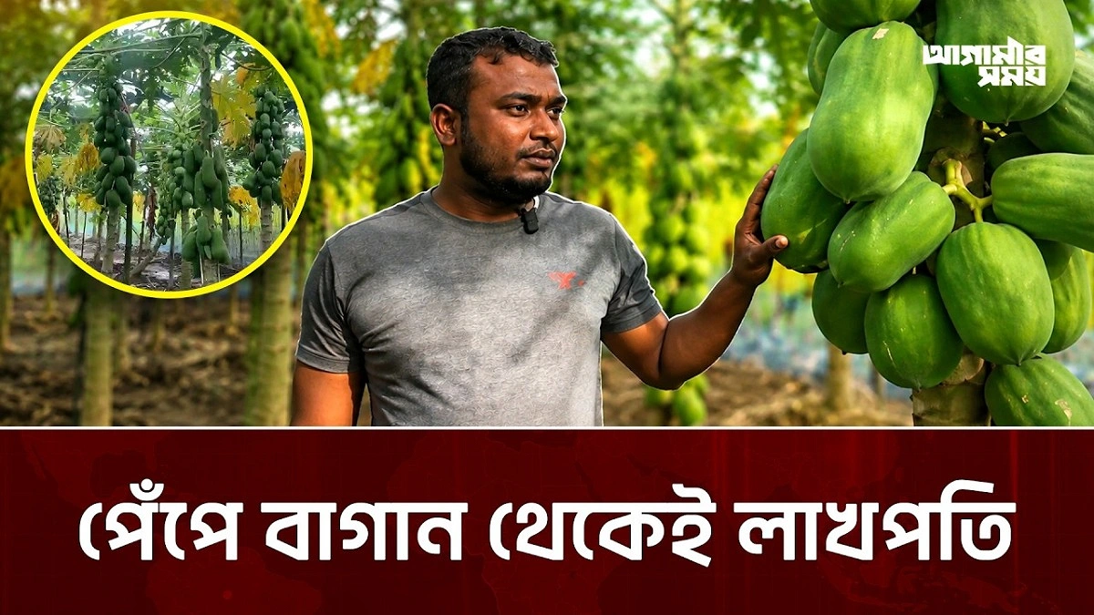 এক বিঘা জমিতেই পাল্টে গেল জীবনের মোড়