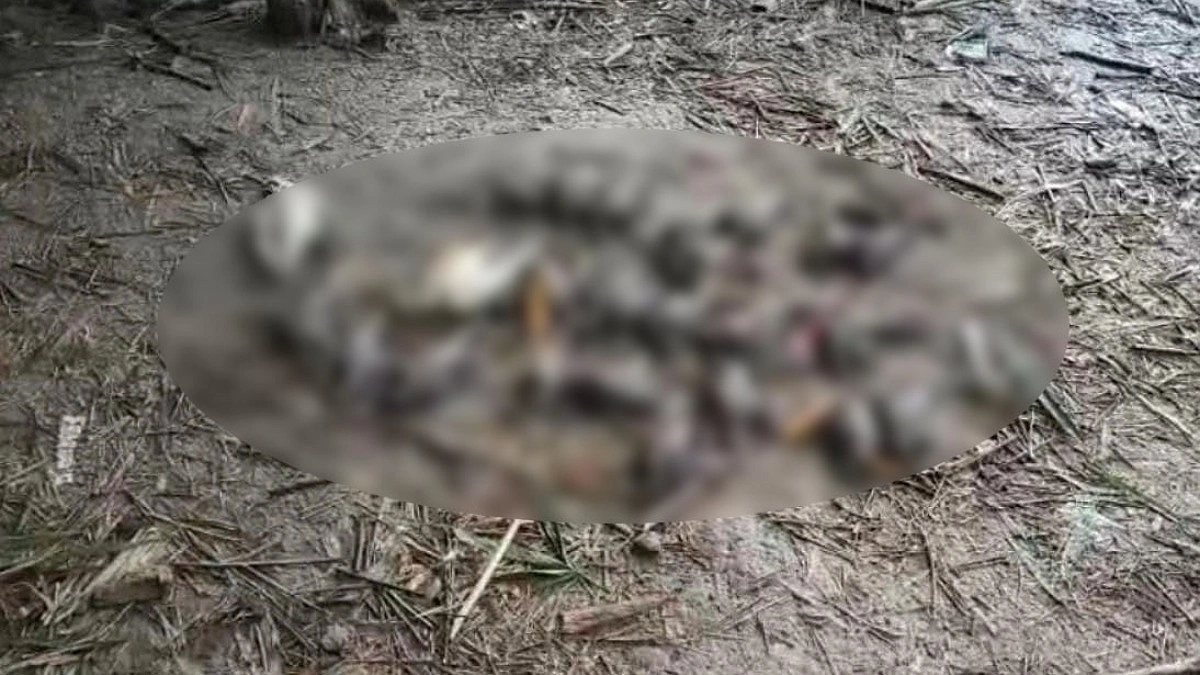 চুয়াডাঙ্গায় বিষ দিয়ে ২৯ পাখি হত্যা, বাবা-ছেলের নামে মামলা