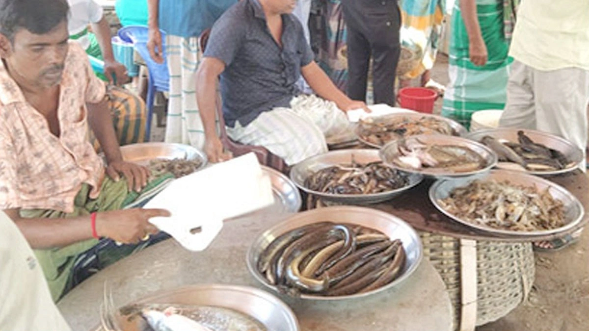 সোনারগাঁয়ে ছোট মাছের বড় বাজার
