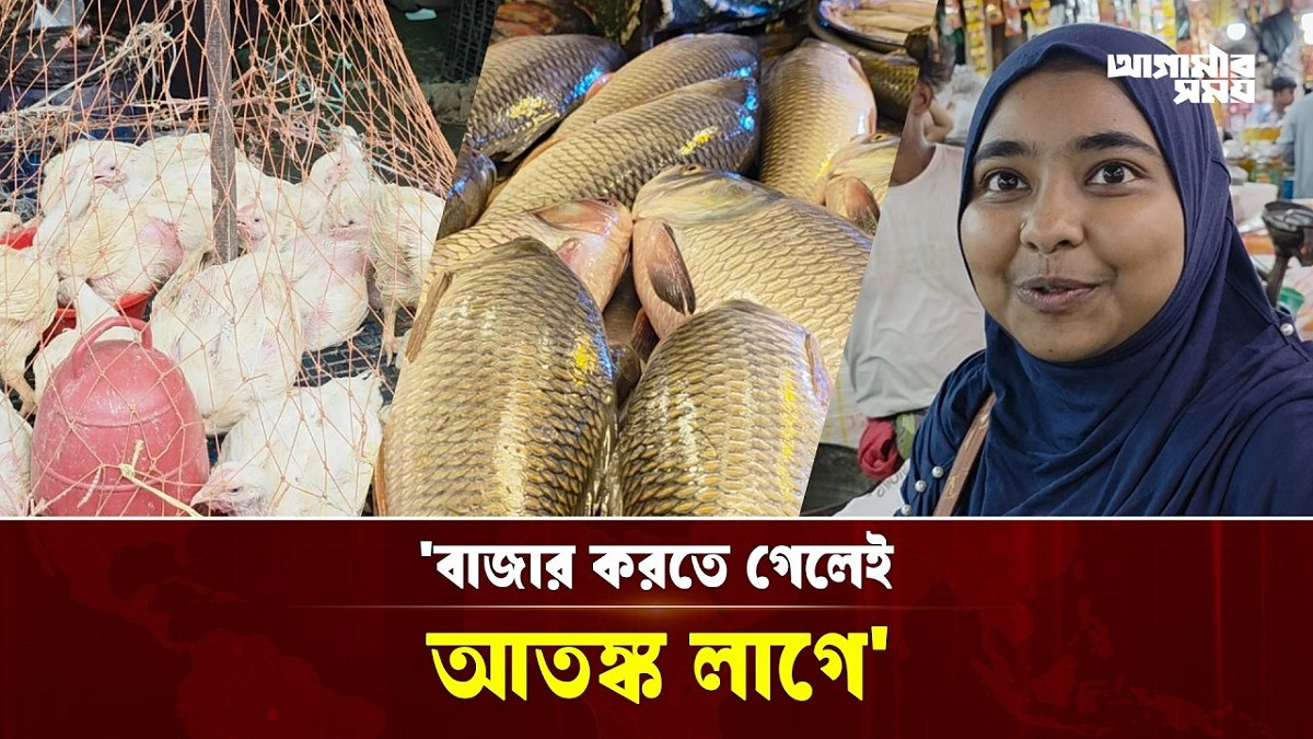 Video news 1