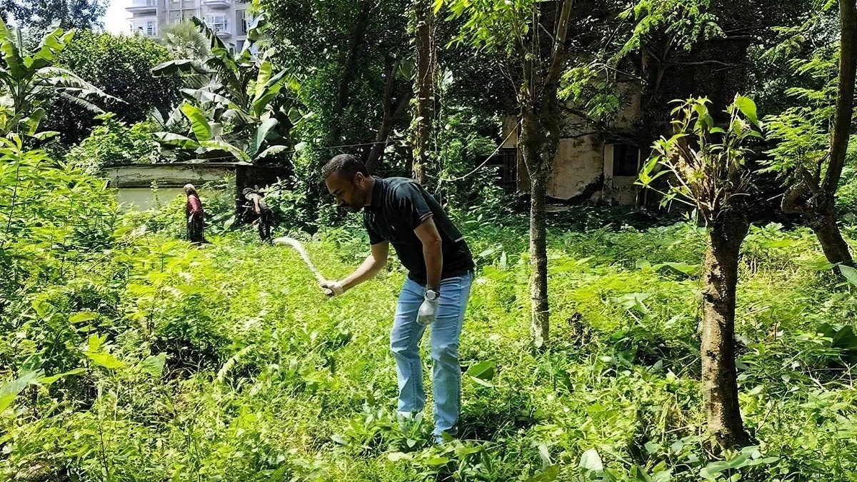 ডেঙ্গু ঠেকাতে আগাছা পরিষ্কার করছেন ইউএনও