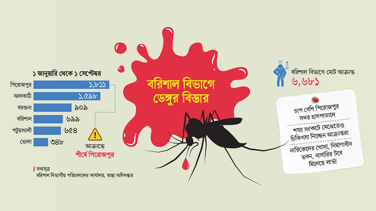 পিরোজপুরে ডেঙ্গুর ডঙ্কা