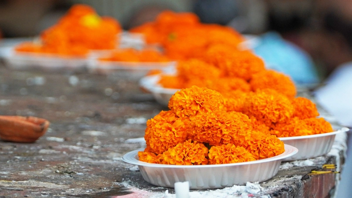 পাত্রে সাজিয়ে রাখা হয়েছে গাঁদা ফুল।