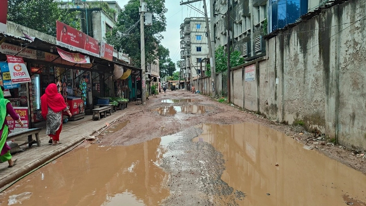 খানাখন্দে ভরা সোনারগাঁও জাদুঘরের প্রধান সড়ক