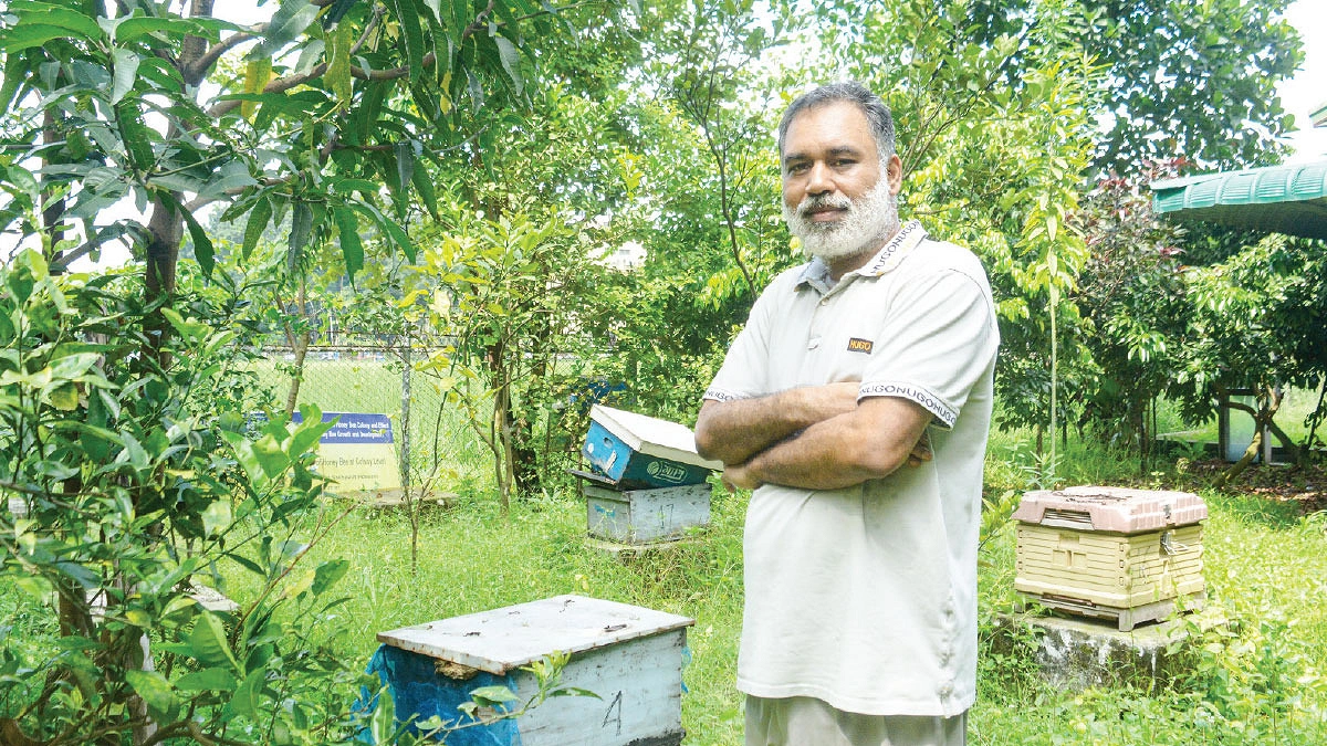 মৌমাছির বন্ধু