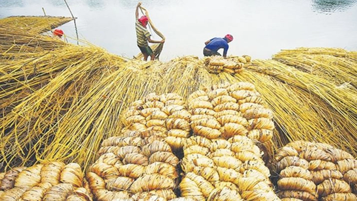 রপ্তানিকারকদের জন্য ঋণ পুনঃতফসিলের সময় বাড়ল