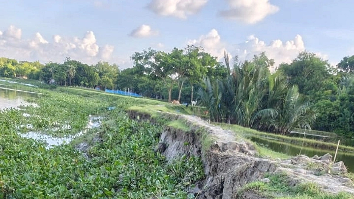 কপোতাক্ষের বাঁধে ফাটল, তিন দিন ধরে পাহারায় গ্রামবাসী