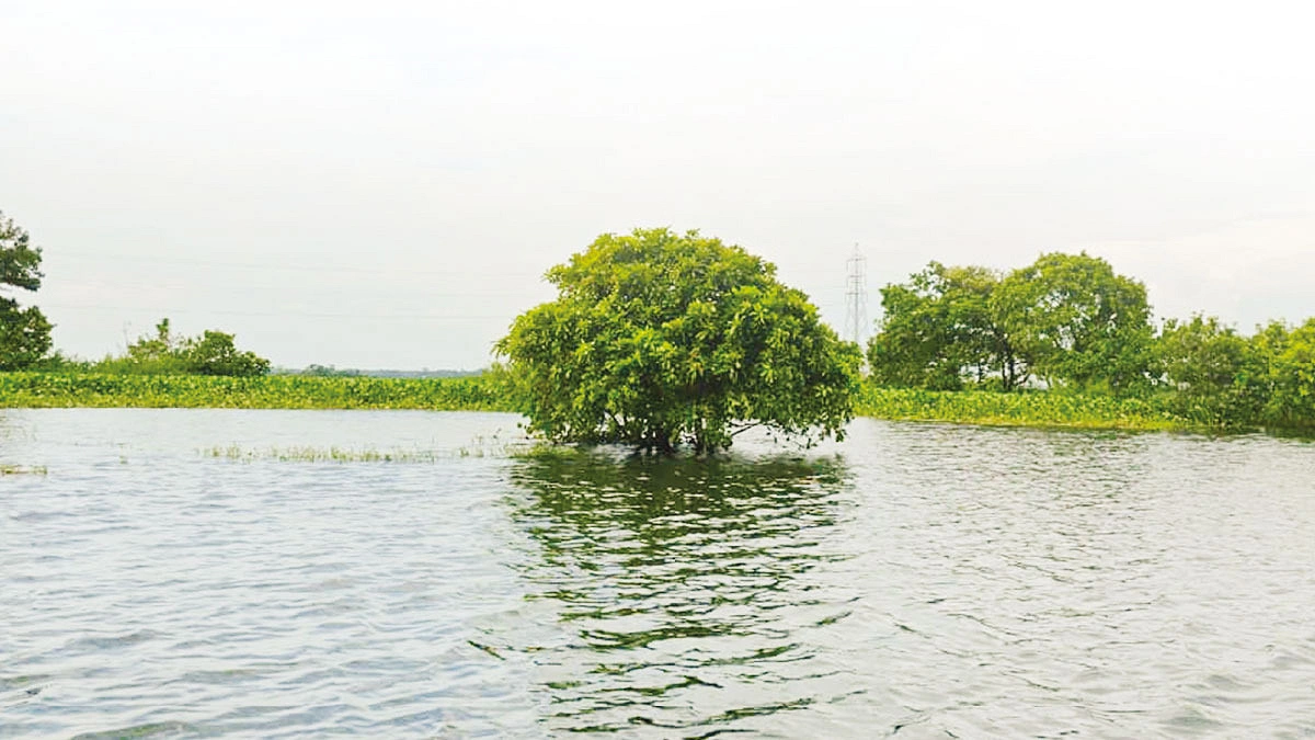 ঢাকার কাছে বেলাই বিল