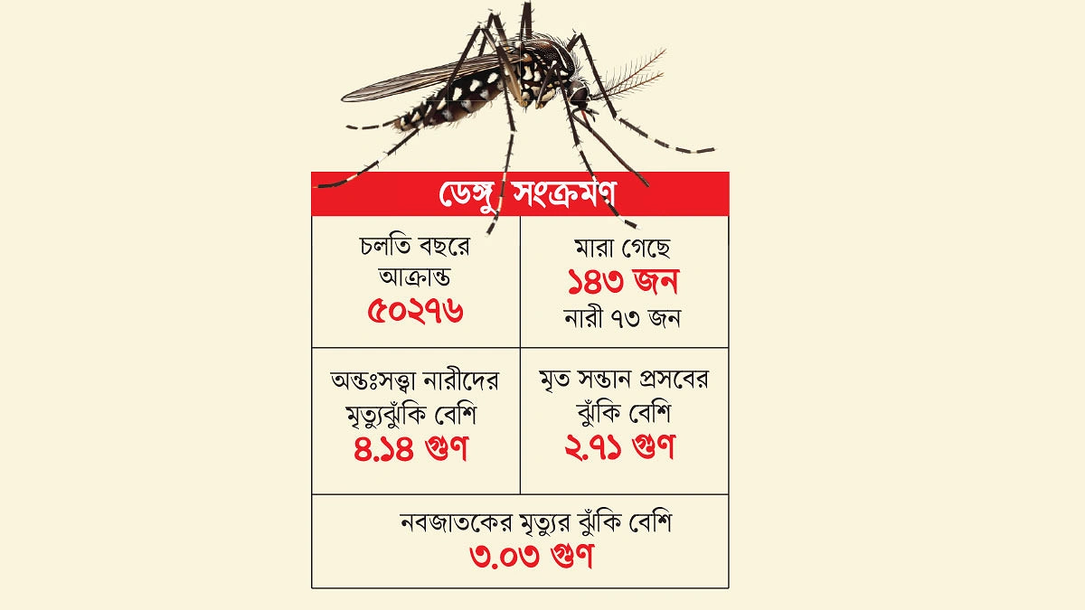 ডেঙ্গুতে ৪ গুণ বেশি মৃত্যুঝুঁকি অন্তঃসত্ত্বার, শঙ্কায় অনাগত শিশুও