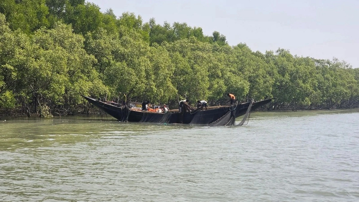 দস্যুদের উৎপাতে অশান্ত সুন্দরবন: দুই দিনে অপহৃত ২১ জেলে