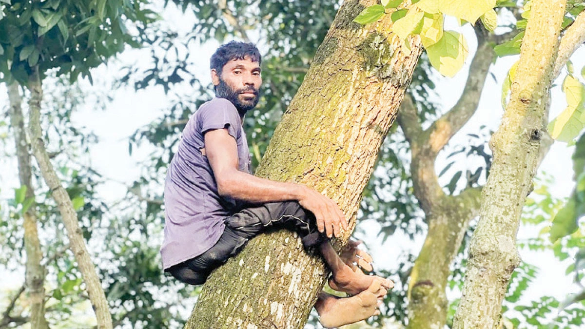 চলেন ক্রাচে, জীবন চলে গাছে চড়ে