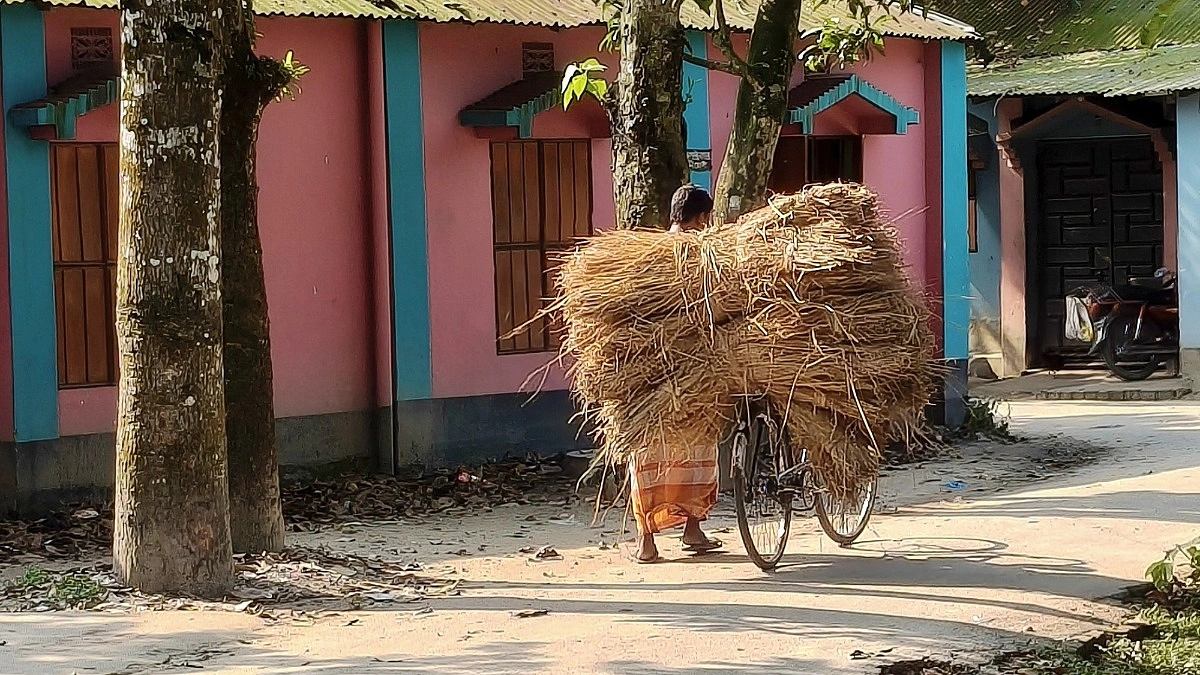 ‘সংসার চালামো না গরুক খোড়াক দেমো, এই চিন্তায় বাঁচি না’