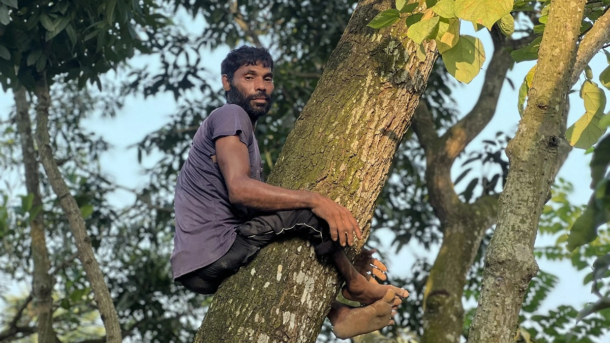 ক্র্যাচে ভর দিয়ে হাঁটেন, গাছের মগডালে উঠেই সংসার চালান একরামুল