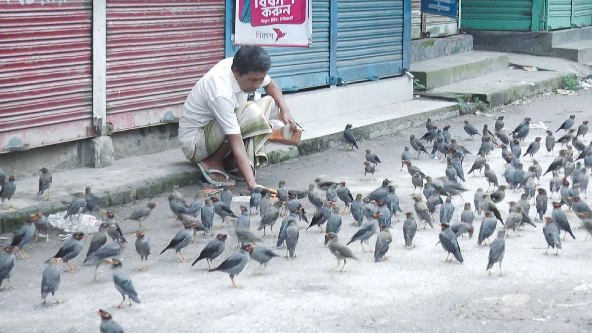 পাখিপ্রেমী বুদ্ধ প্রামানিক