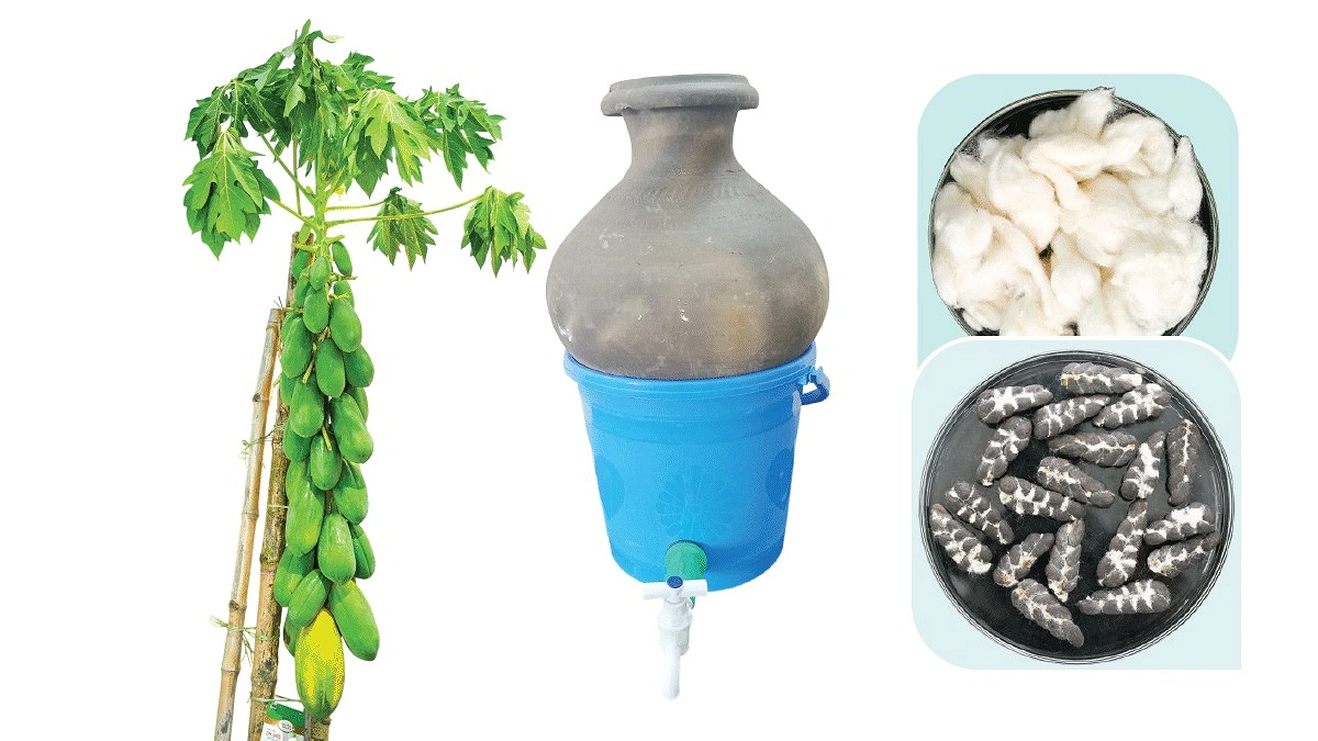 কৃষকের পাশে গাকৃবি