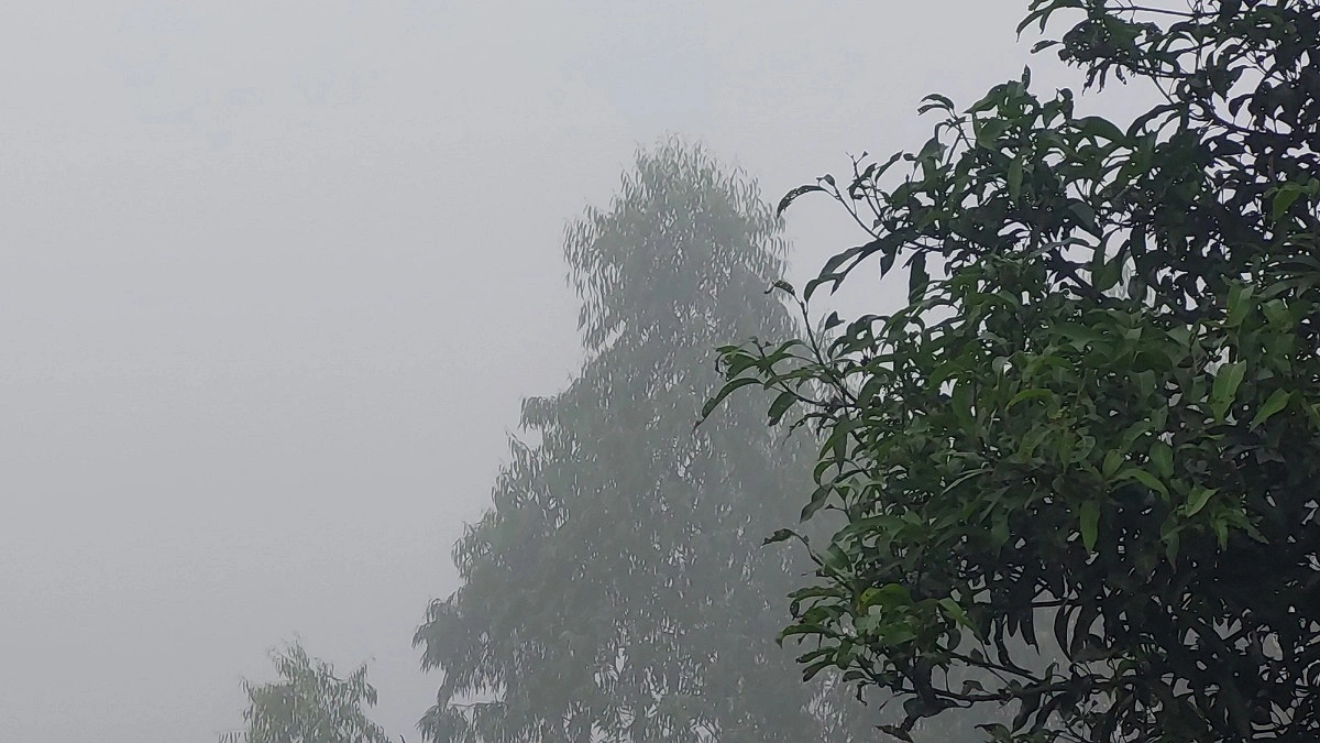 আশ্বিনের ভোরে ঠাকুরগাঁওয়ে কুয়াশা