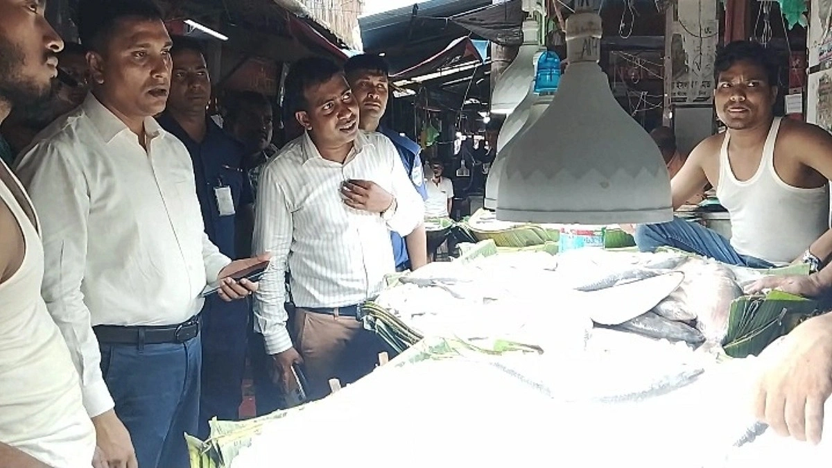 সরকারি নথিতে ‘ভারতীয় ইলিশ’, বিক্রি হচ্ছে মিয়ানমারের নামে
