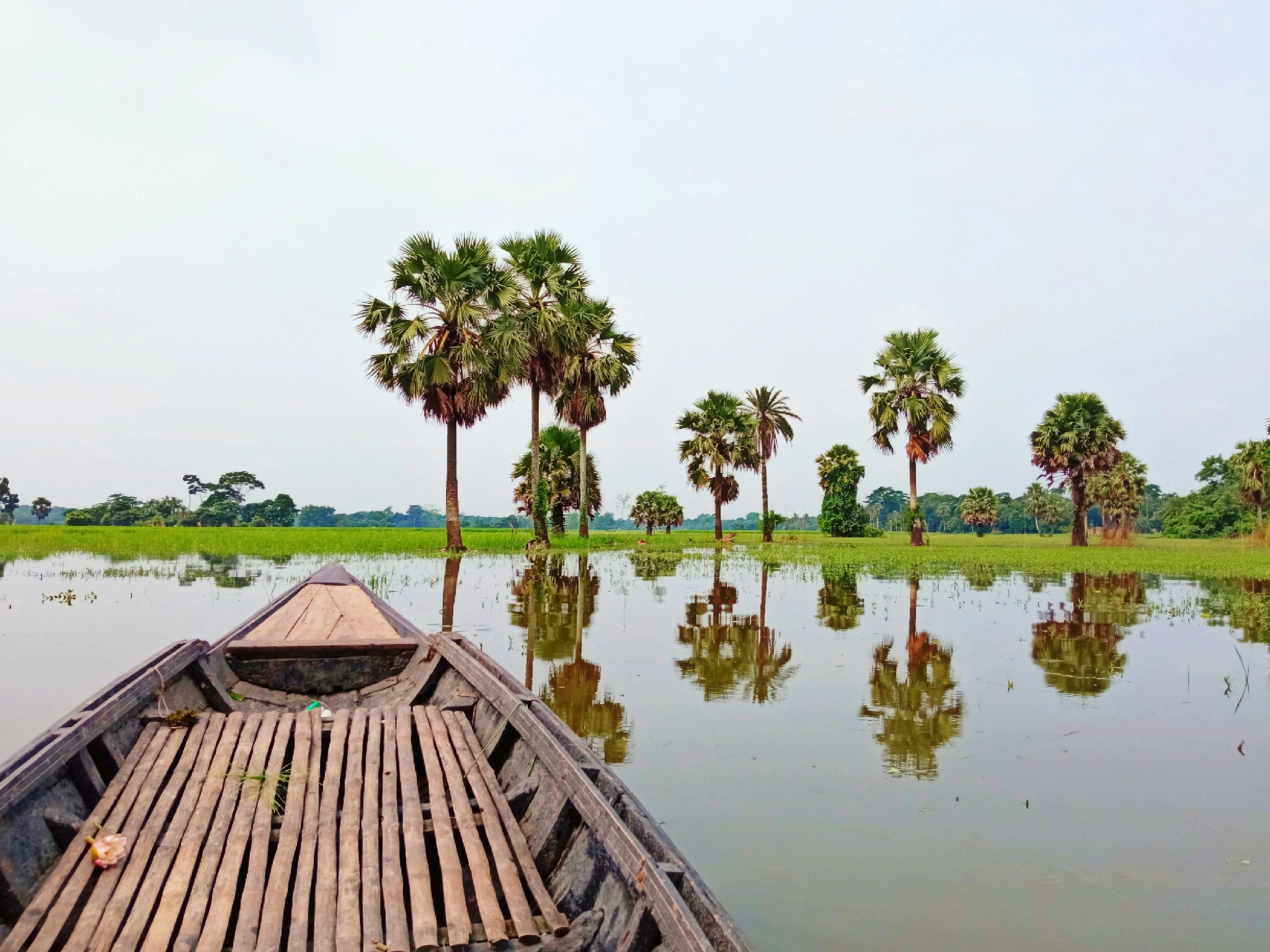 ভাদ্র মাসের গ্রামবাংলা