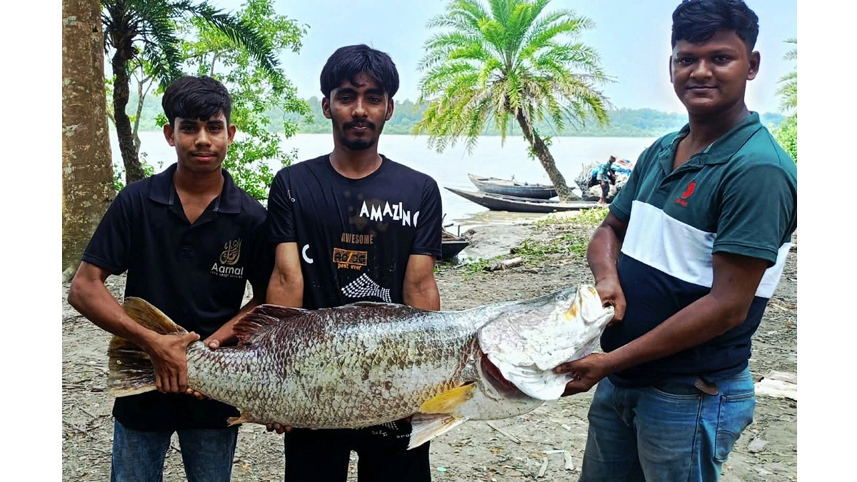 সুন্দরবনের জহুরুলের জালে ২০ কেজির কোরাল, বিক্রি ৩৬ হাজারে