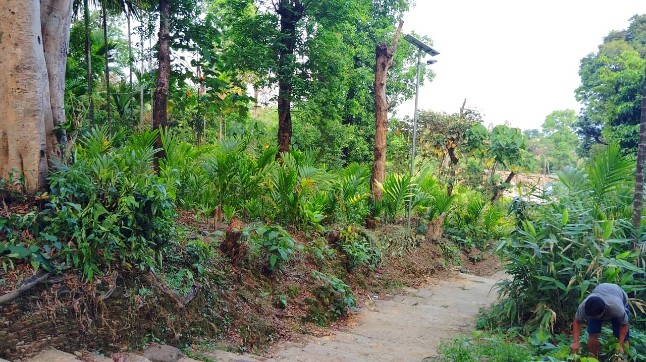 গ্রামের মানুষের কাছে পরিচ্ছন্নতা দীর্ঘদিনের সামাজিক অভ্যাস। ছবি: আগামীর সময়