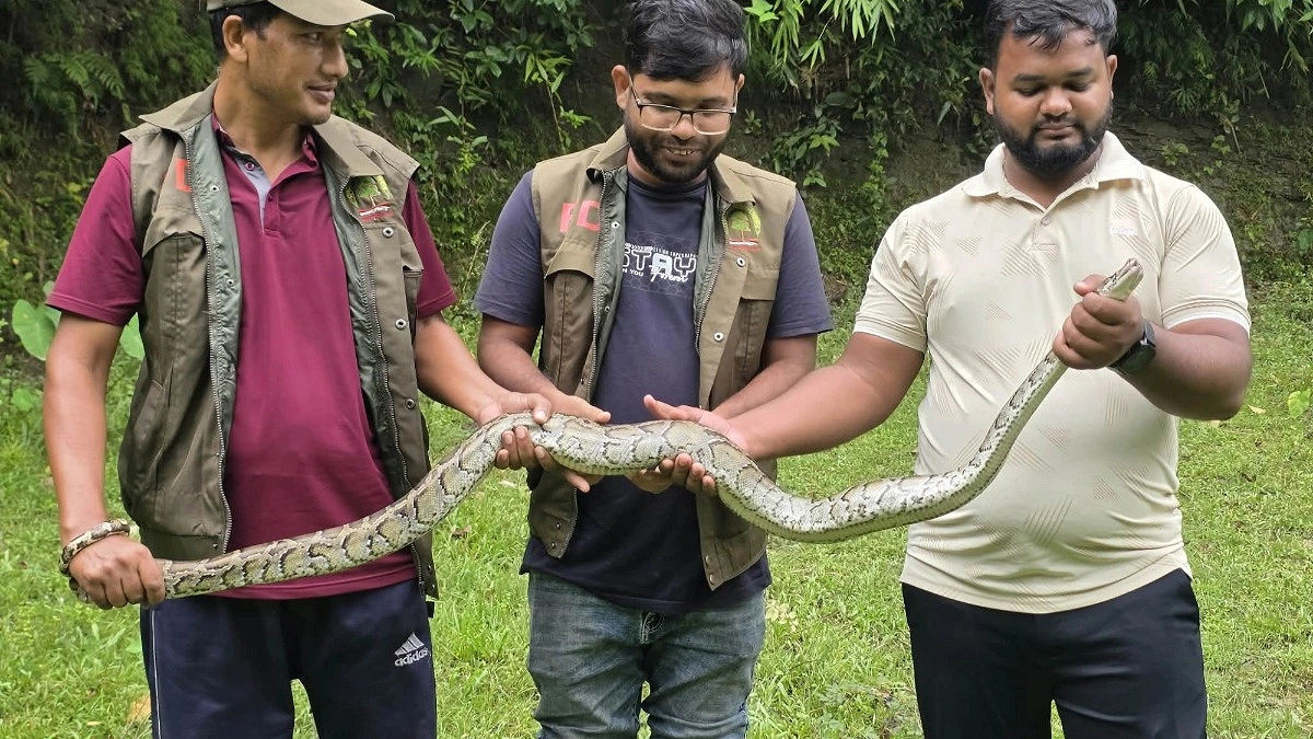 লোকালয়ে ঢুকে পড়া অজগর বনে অবমুক্ত