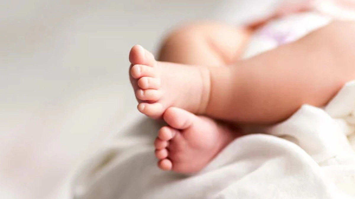 ভোরে রাস্তার পাশে জঙ্গলে কাঁদছিল নবজাতক