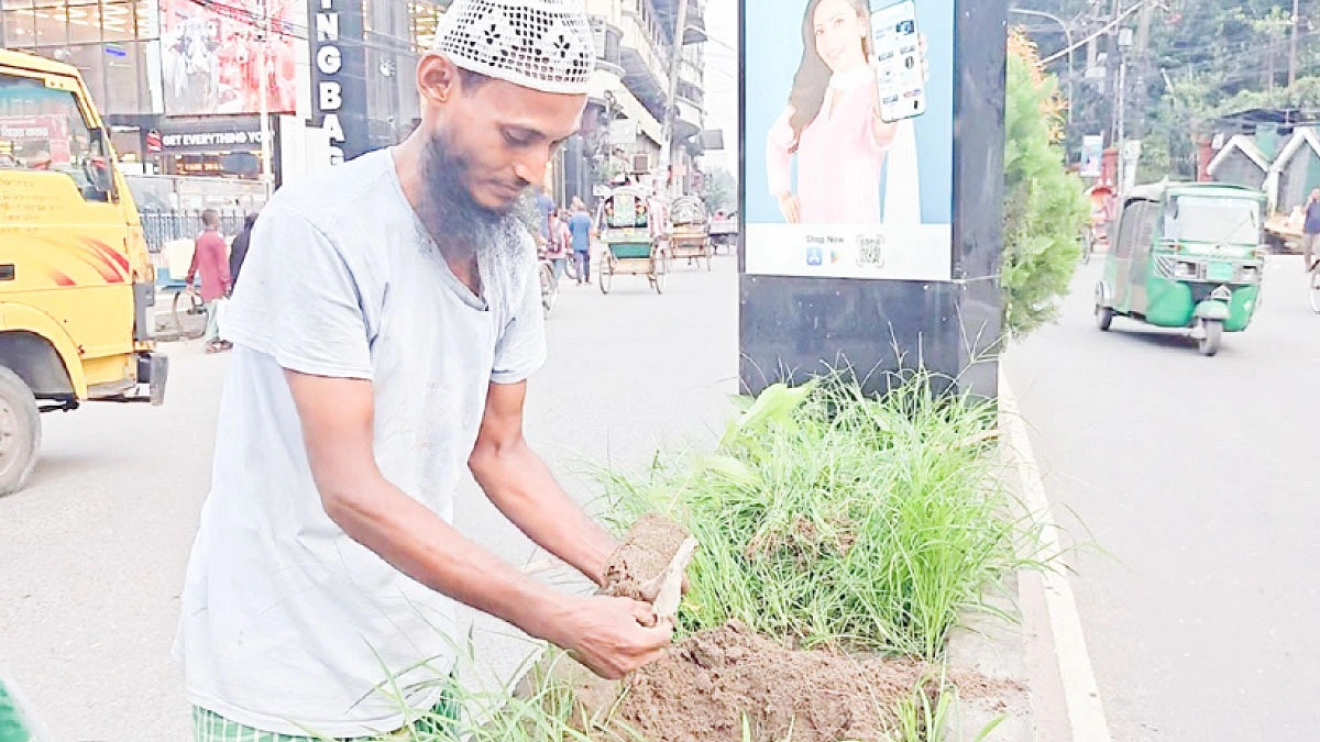 ১৩ হাজার গাছ লাগিয়েছেন রিকশাচালক রেজাউল