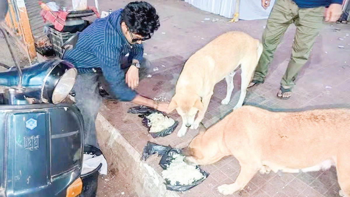 পশুপাখির বন্ধু সাইমুন