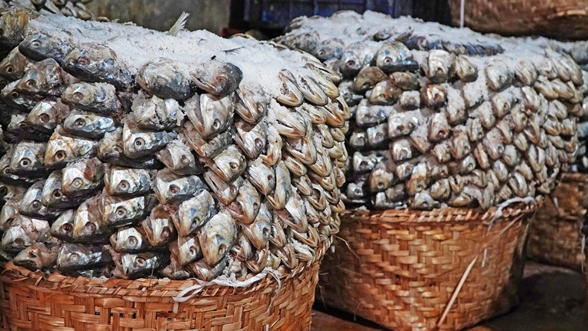 ঝুড়িতে রাখা সাজানো ইলিশ।