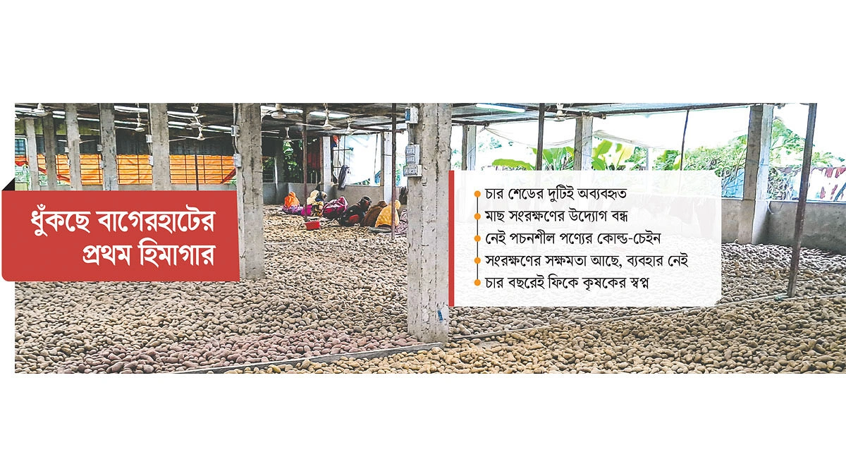 বাগেরহাটে হিমাগার : মাছ-সবজির স্বপ্নযাত্রা আলুতেই আটকা