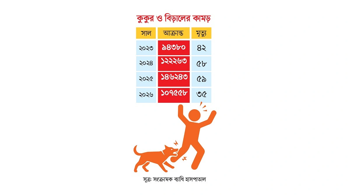 বিড়ালের আঁচড়েও বাড়ছে জলাতঙ্কের রোগী