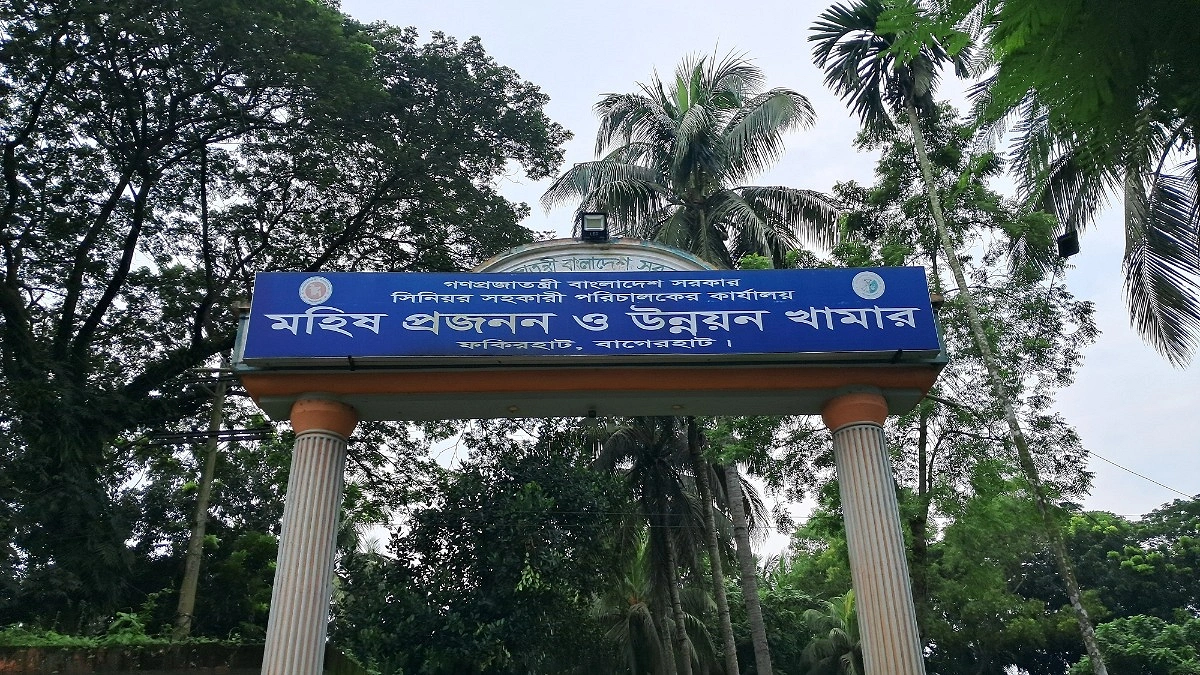 ৫২ পদের ৪২টিই শূন্য, ৩৮ বছরেও নেই ভেটেরিনারি সার্জন