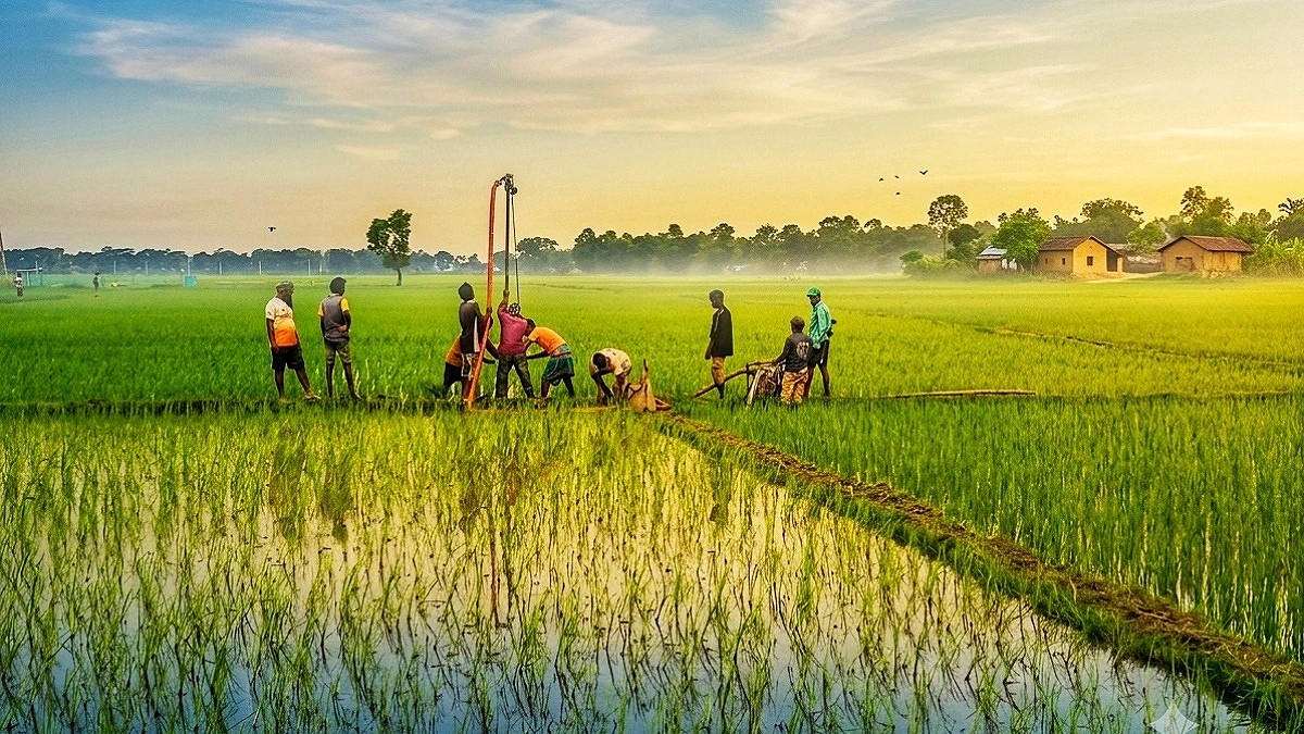 হবিগঞ্জে গ্যাসের নতুন ভাণ্ডারের খোঁজে বাপেক্স