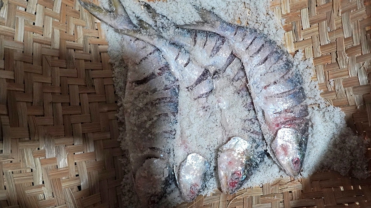 লবণ মাখানো নোনা ইলিশ।
