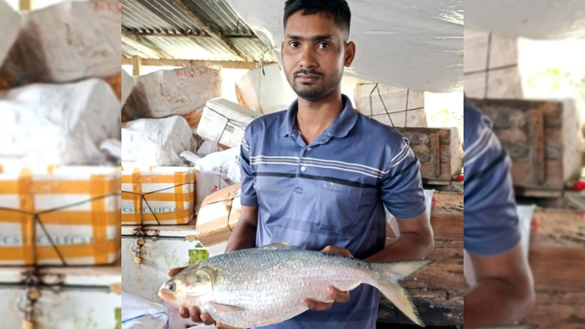 ২ কেজি ৭০০ গ্রামের ইলিশ, বিক্রি ১৬ হাজারে