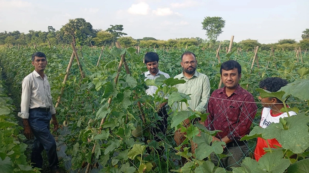 কাপাসিয়ায় রক মেলনে নতুন স্বপ্ন কৃষকের