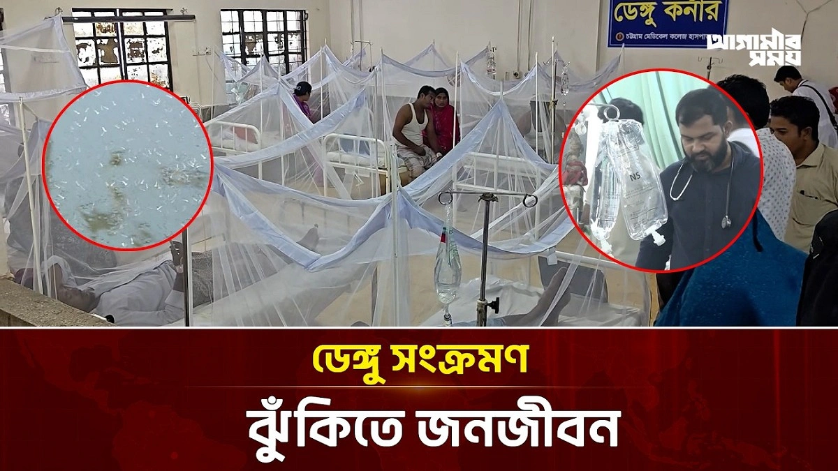 Video news 4