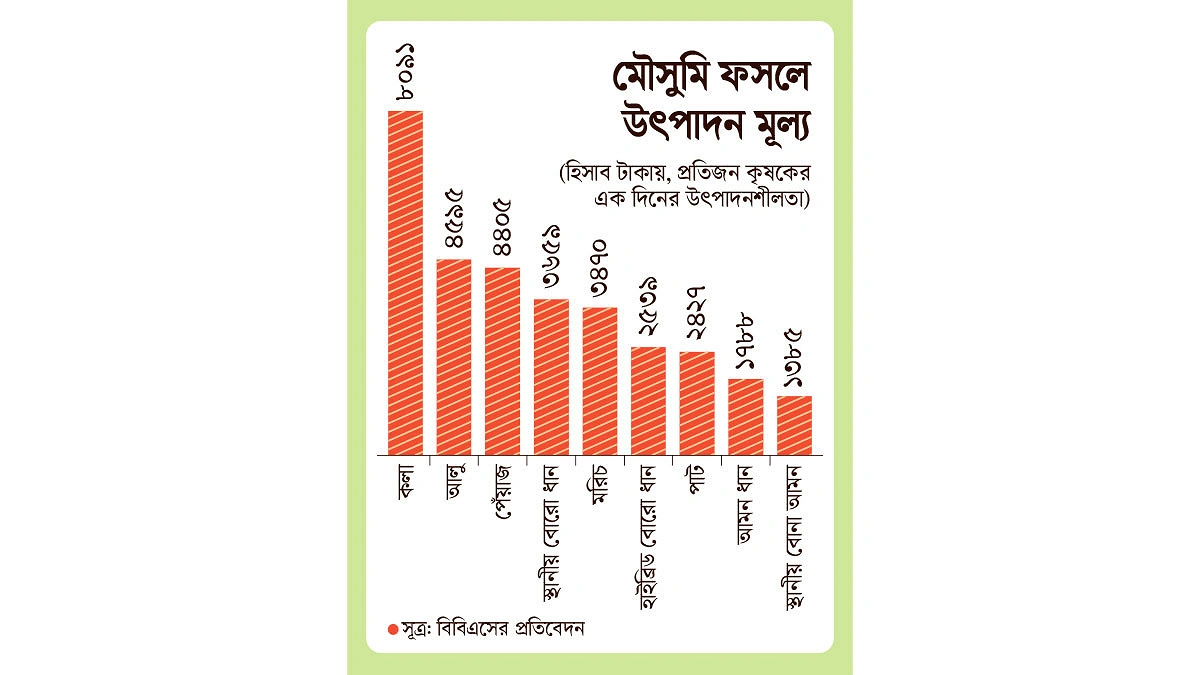 কলায় সর্বোচ্চ আমনে সর্বনিম্ন