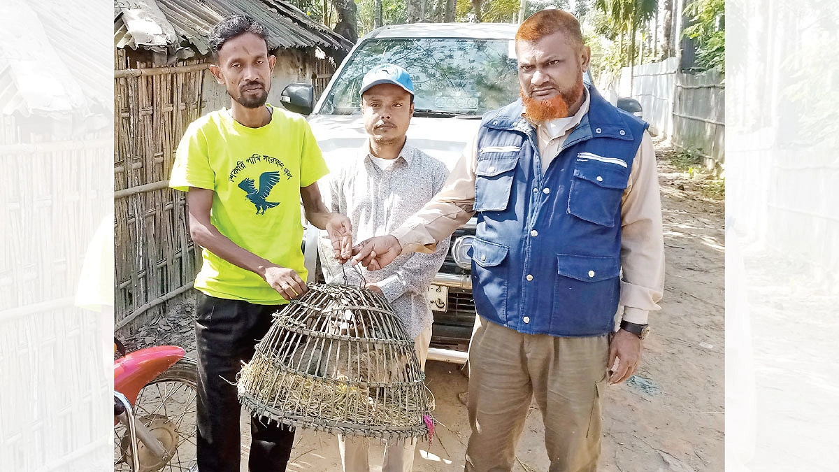 প্রাণের ডাকে ছোটেন রবি