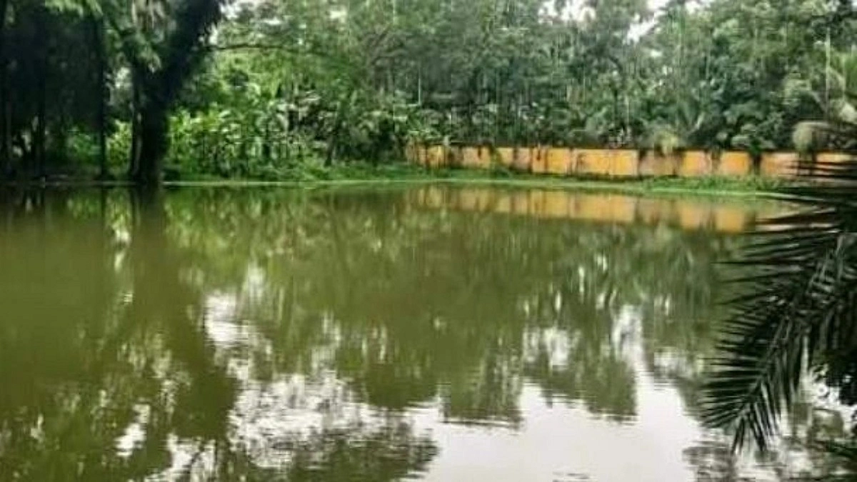 বদলি হতেই রাতের আঁধারে সরকারি পুকুরের মাছ ধরে নিলেন ভূমি কর্মকর্তা