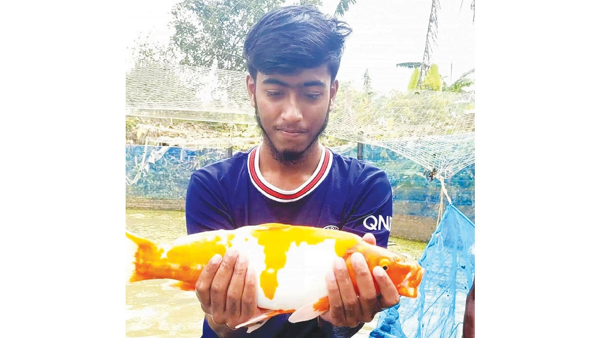 রঙিন মাছে রঙিন রাহাতের জীবন