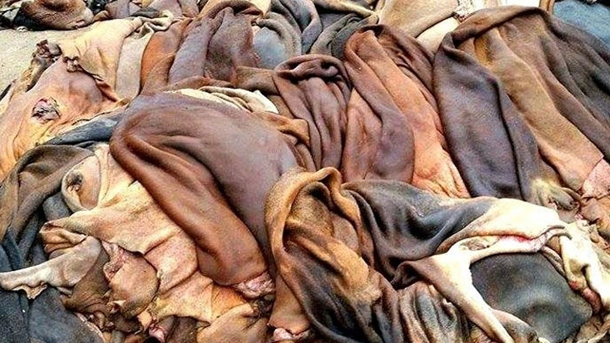 সনদহীন চামড়ায় বিদেশি ক্রেতাদের অনীহা