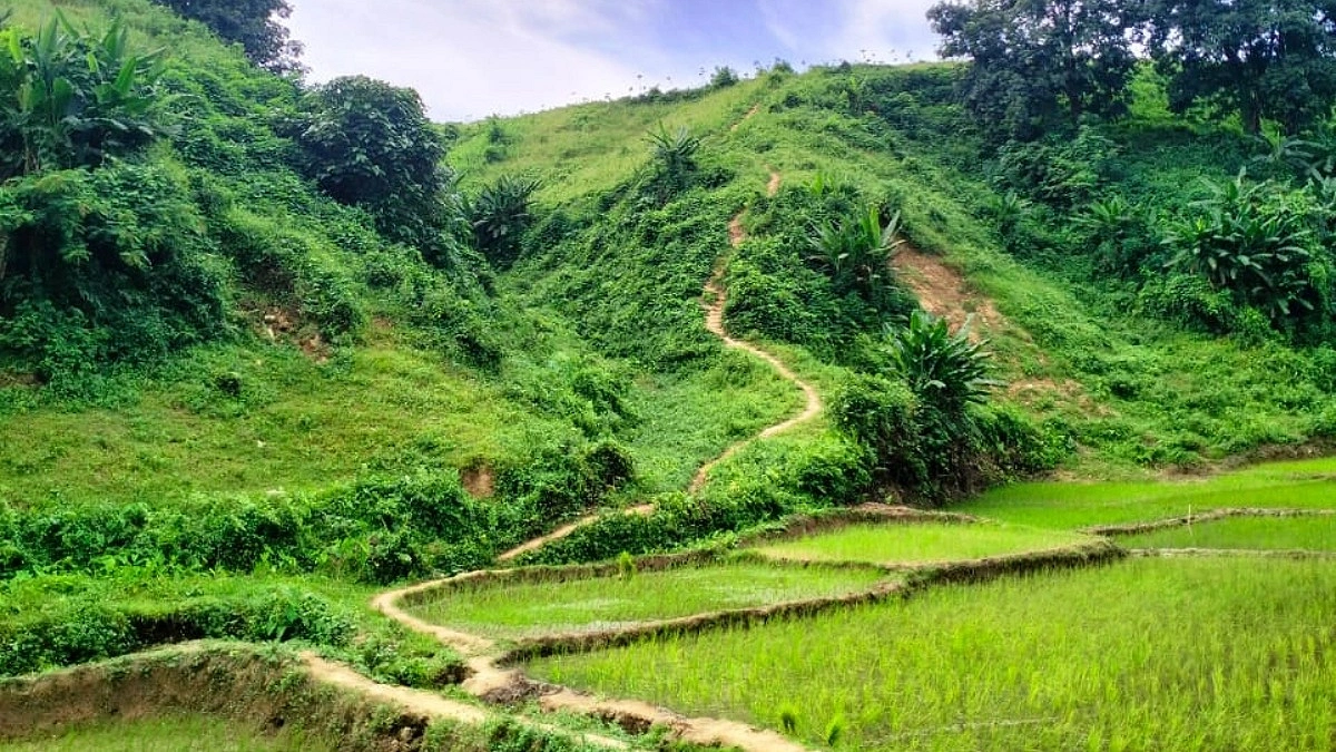‘হারিয়াকোনা’- গারো পাহাড়ের নিঝুম অরণ্য